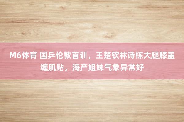 M6体育 国乒伦敦首训，王楚钦林诗栋大腿膝盖缠肌贴，海产姐妹气象异常好