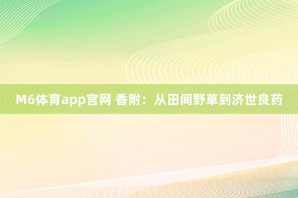M6体育app官网 香附：从田间野草到济世良药