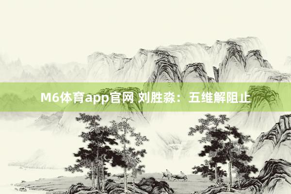 M6体育app官网 刘胜淼：五维解阻止
