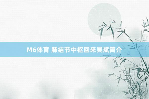 M6体育 肺结节中枢回来吴斌简介