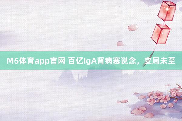 M6体育app官网 百亿IgA肾病赛说念，变局未至