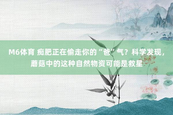 M6体育 痴肥正在偷走你的“爸”气？科学发现，蘑菇中的这种自然物资可能是救星