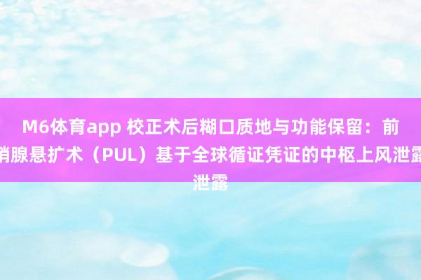 M6体育app 校正术后糊口质地与功能保留：前哨腺悬扩术（PUL）基于全球循证凭证的中枢上风泄露