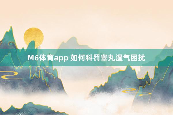 M6体育app 如何科罚睾丸湿气困扰