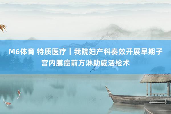 M6体育 特质医疗丨我院妇产科奏效开展早期子宫内膜癌前方淋助威活检术