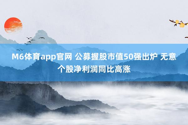 M6体育app官网 公募握股市值50强出炉 无意个股净利润同比高涨