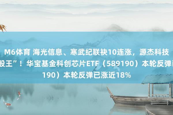 M6体育 海光信息、寒武纪联袂10连涨，源杰科技成A股“新股王”！华宝基金科创芯片ETF（589190）本轮反弹已涨近18%
