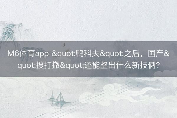 M6体育app "鸭科夫"之后，国产"搜打撤"还能整出什么新技俩?