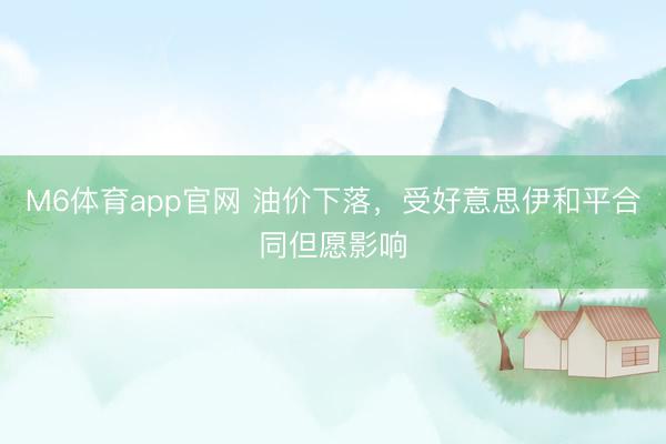 M6体育app官网 油价下落，受好意思伊和平合同但愿影响