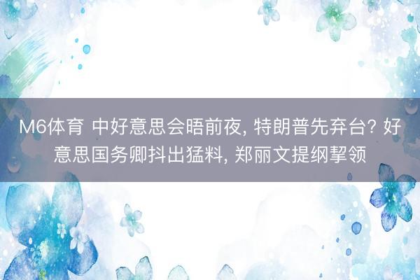 M6体育 中好意思会晤前夜， 特朗普先弃台? 好意思国务卿抖出猛料， 郑丽文提纲挈领