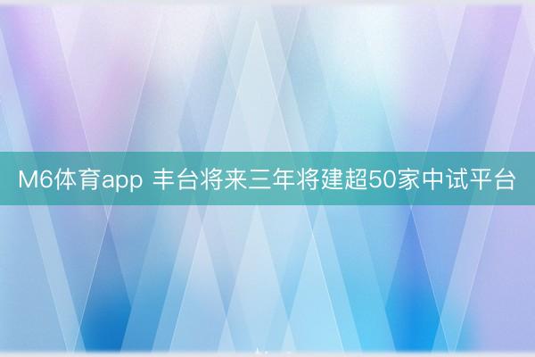 M6体育app 丰台将来三年将建超50家中试平台